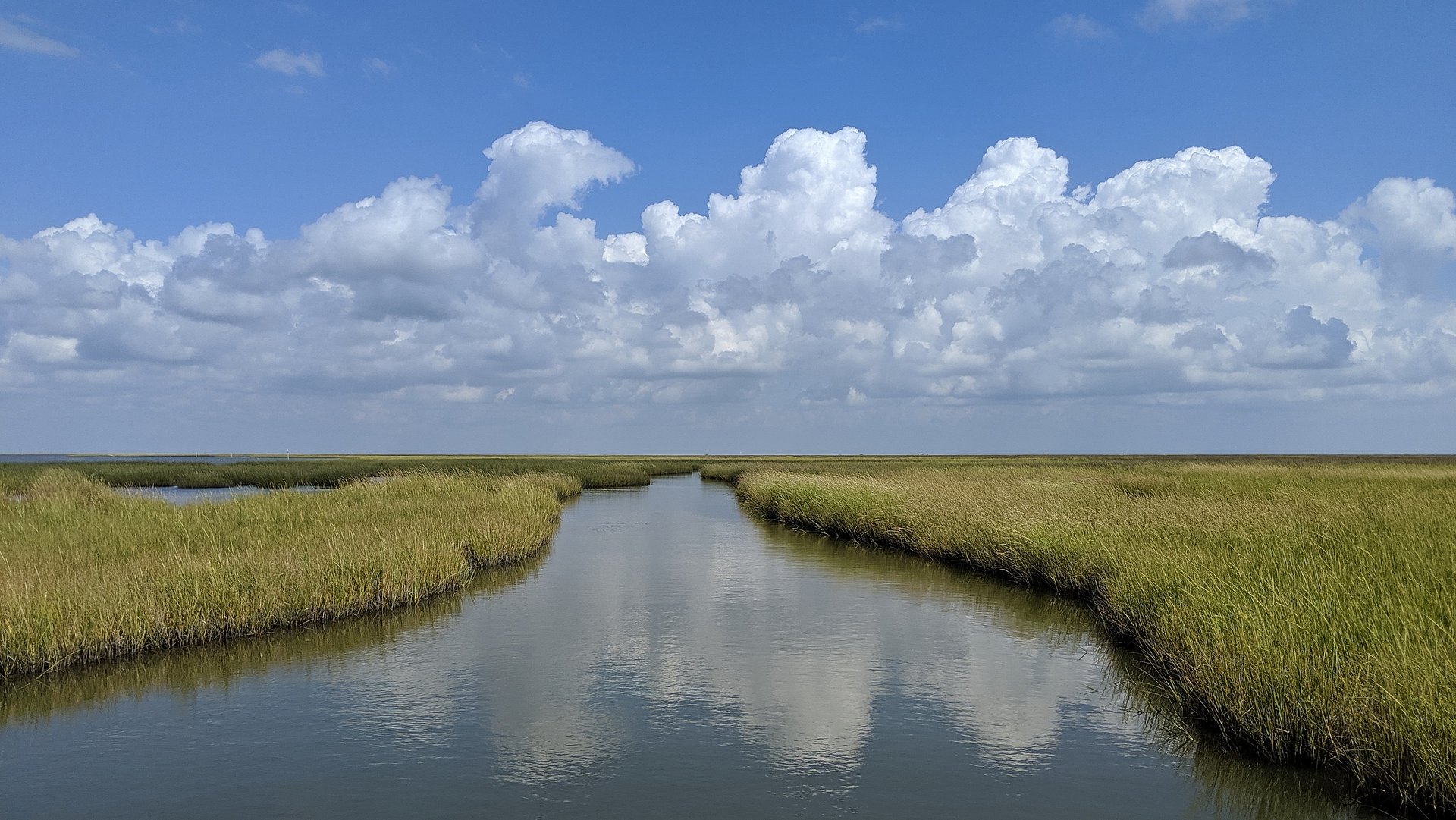 A water landscape where grasses grow right at the river shore.