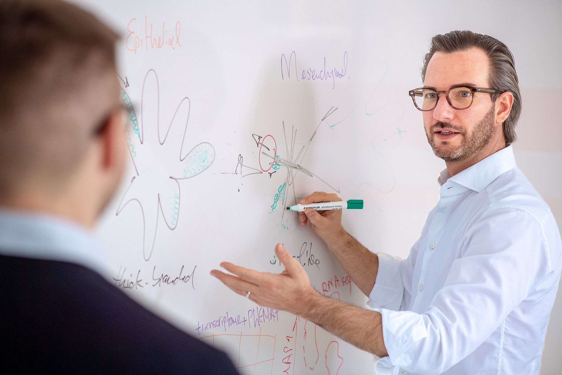 Prof. Maximilian Reichert and his team have developed organoids that represent the diversity of pancreatic cancer. They are using them to explore new therapeutic options.