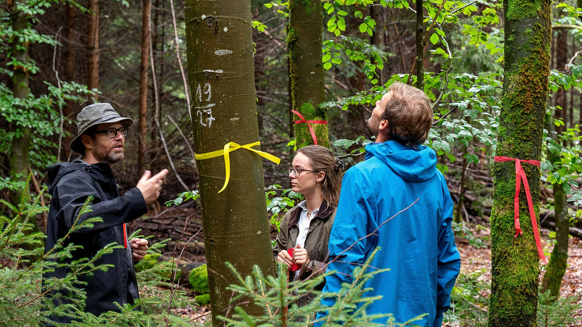 Researchers on a forest excursion