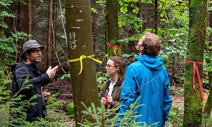 Researchers on a forest excursion