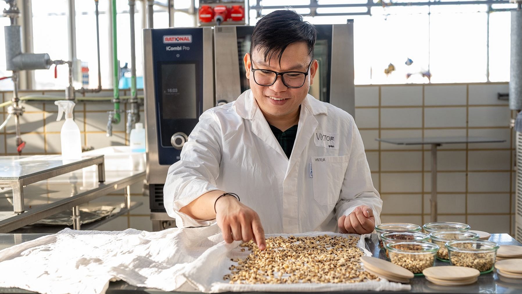 Victor Christian Kaharso in the lab. He is examining the cowpea at various stages of germination. 