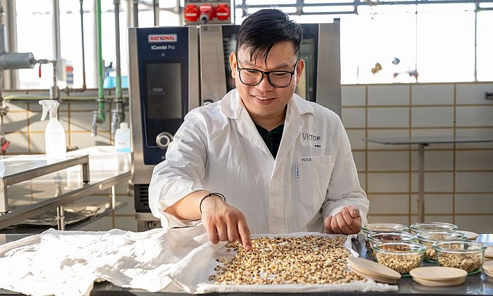 Victor Christian Kaharso in the lab. He is examining the cowpea at various stages of germination. 