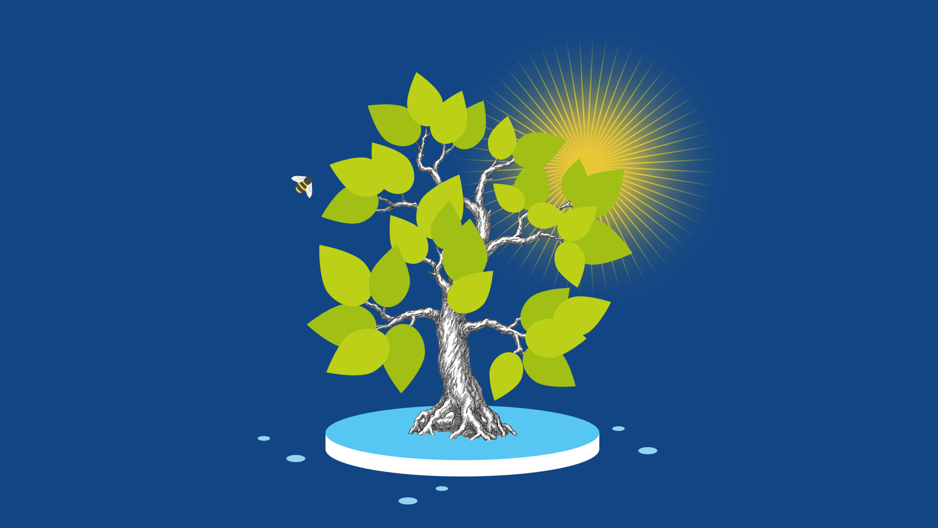 Symbolbild der Photosynthese mit einem Baum in der Sonne