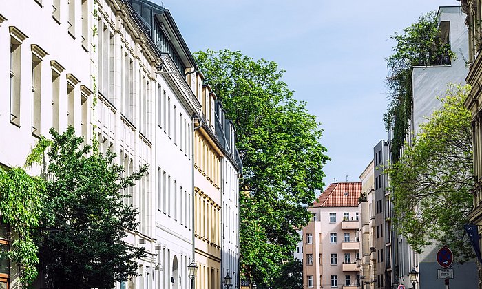 Trees on a densely populated street with apartment buildings on a sunny day