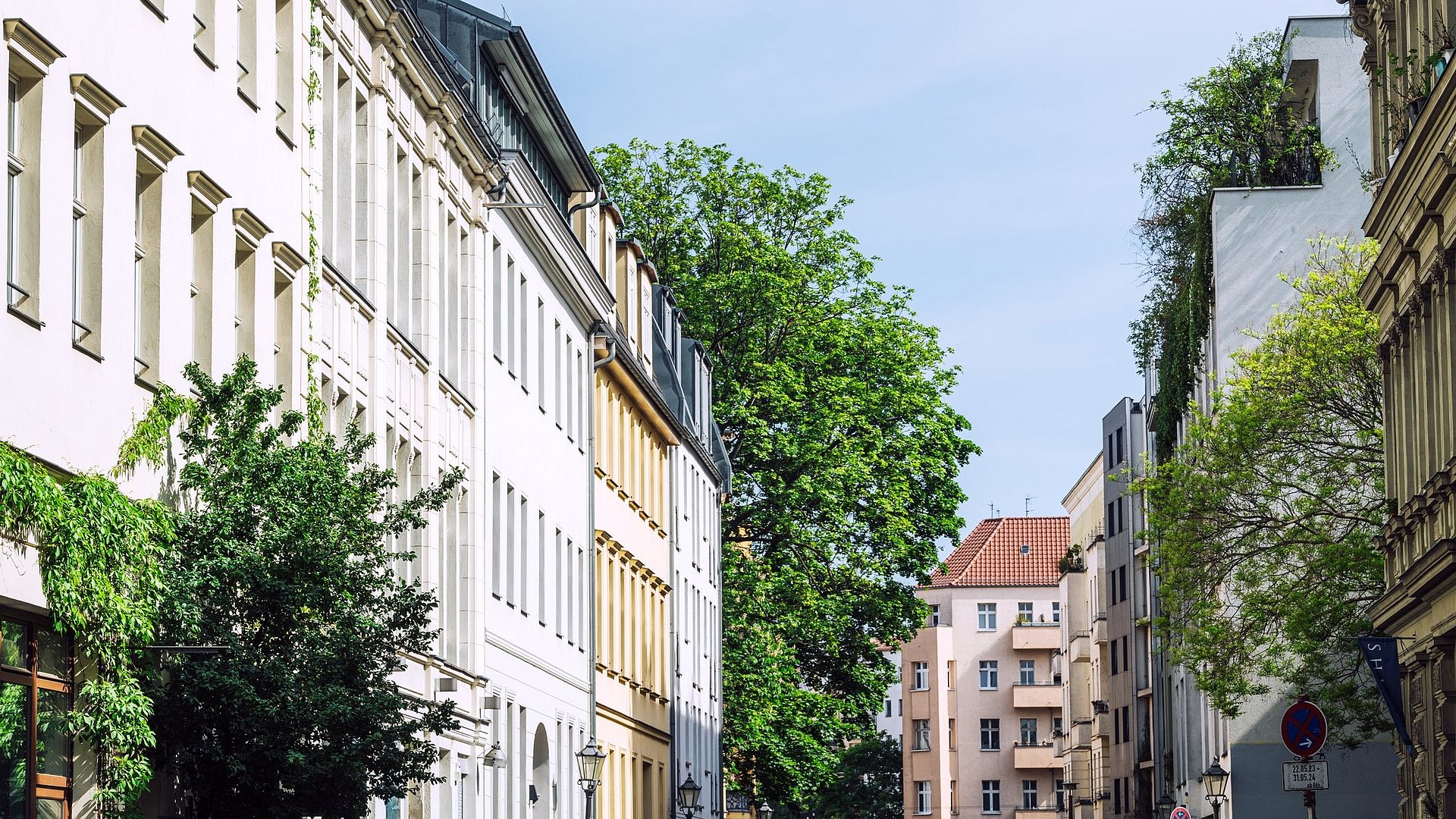 Trees on a densely populated street with apartment buildings on a sunny day
