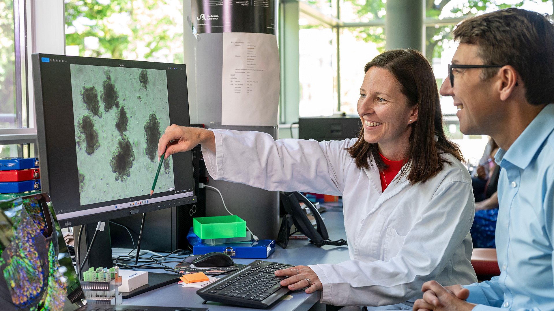 Prof. Dirk Haller and Dr. Olivia Coleman betrachten auf einem Bildschirm Bilder eines Darm-Organoids