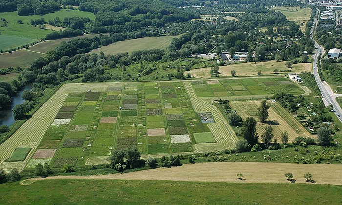 Due to its breadth, the Jena experiment proves for the first time that a loss of biodiversity has negative consequences for many individual components and processes in ecosystems. (Photo: The Jena Experiment)