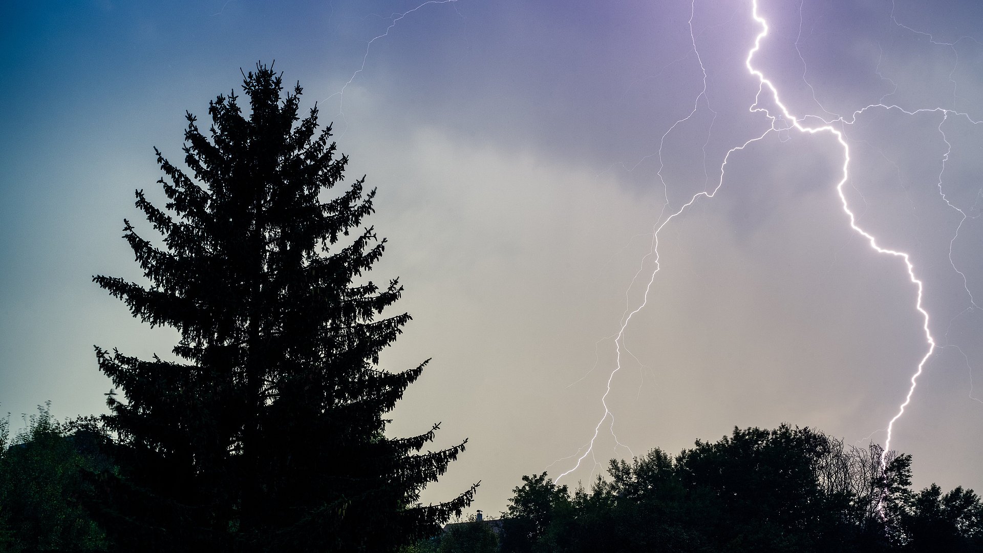 Lightning over trees