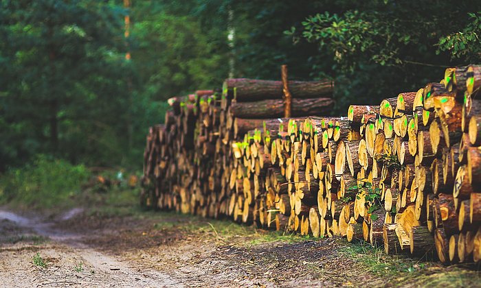 Logs stacked on top of each other along the roadside.