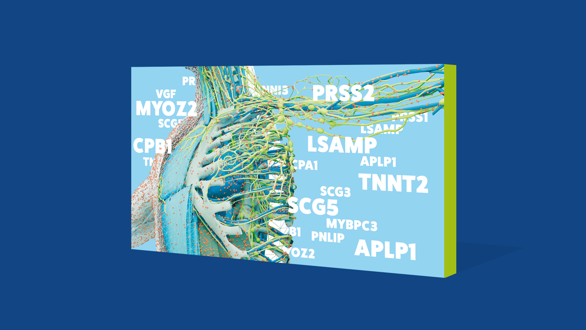 Illustration of a “protein map” of the human body