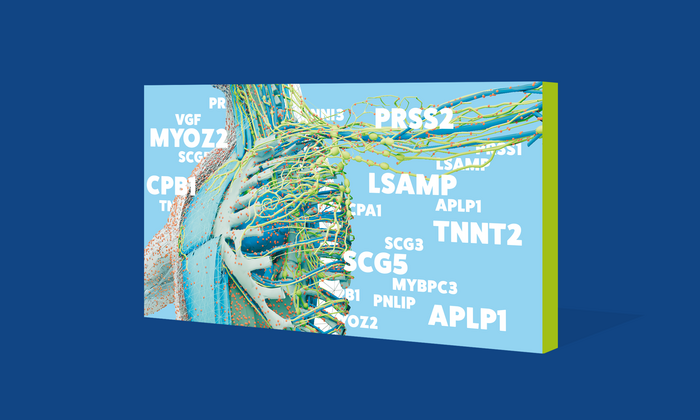 Illustration of a “protein map” of the human body