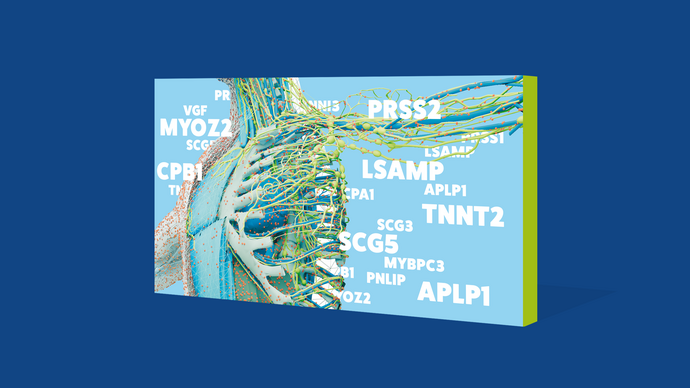 Illustration of a “protein map” of the human body