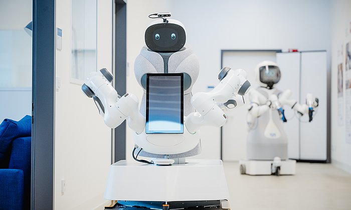 Assistant robot Garmi