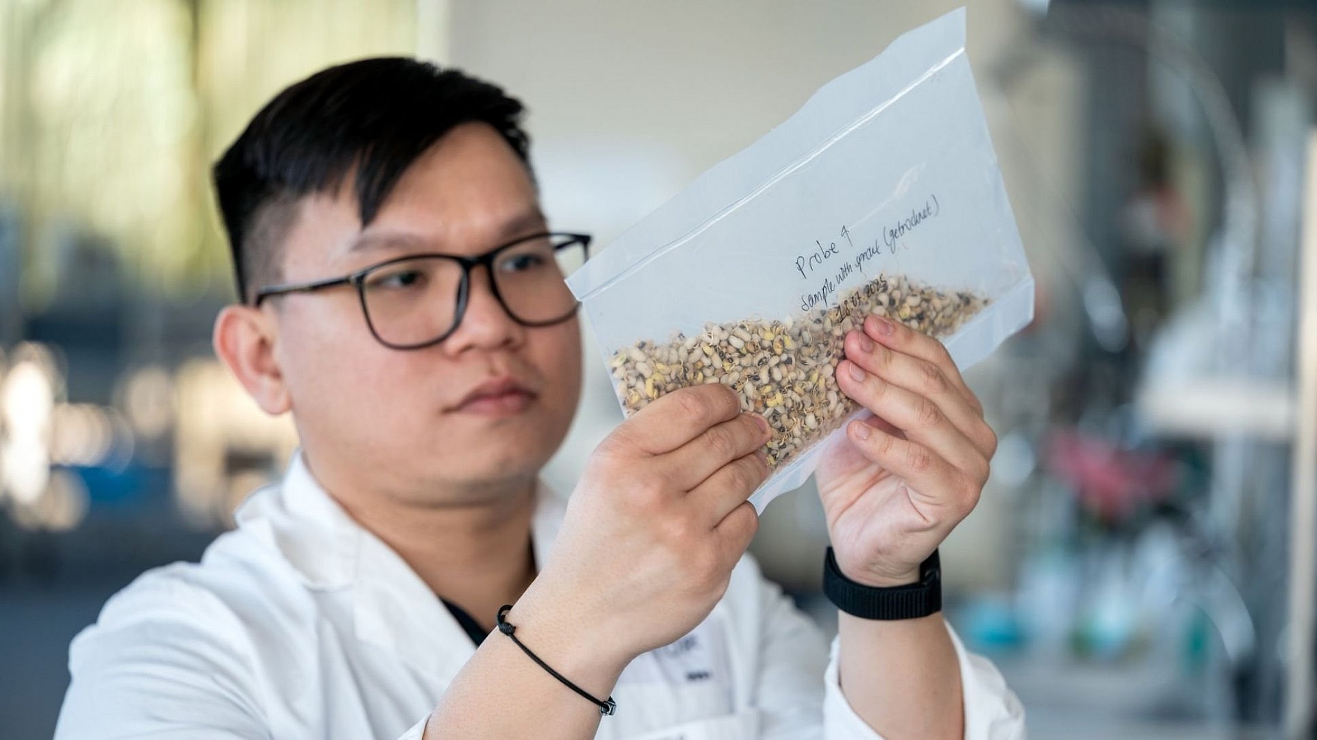  Victor Christian Kaharso closely examines cowpeas, with or without germination.
