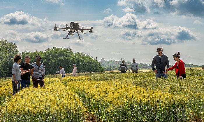 Researchers examine a grain field with a drone
