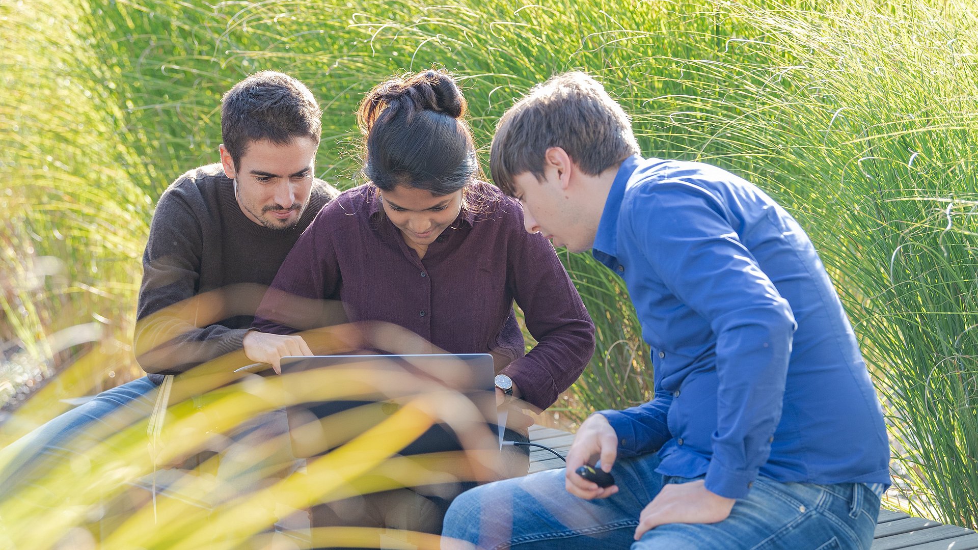 Three students, sitting amidst tall grasses, look together at a laptop screen