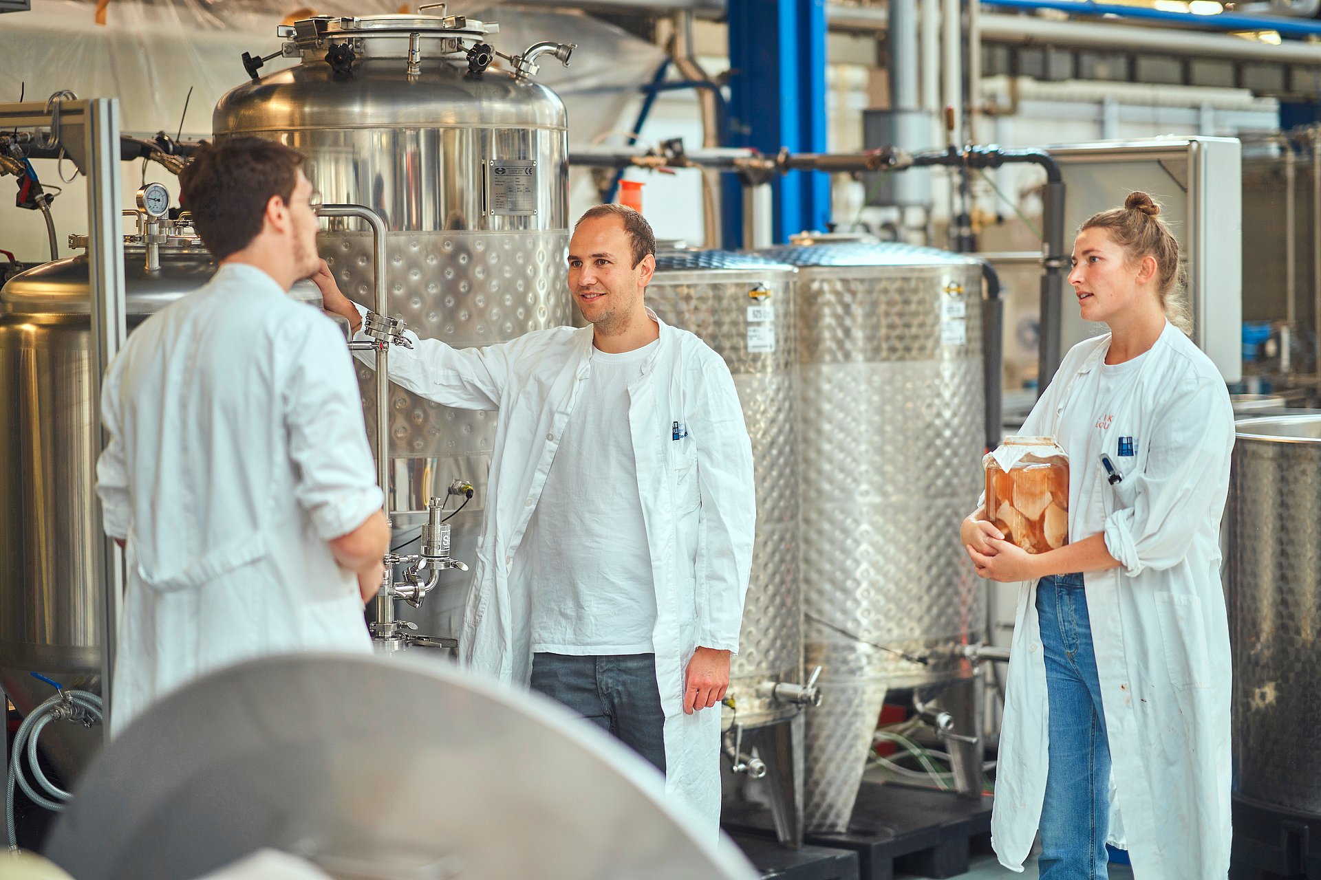 Researchers at the TUM Venture Lab Food/Agro/Biotech