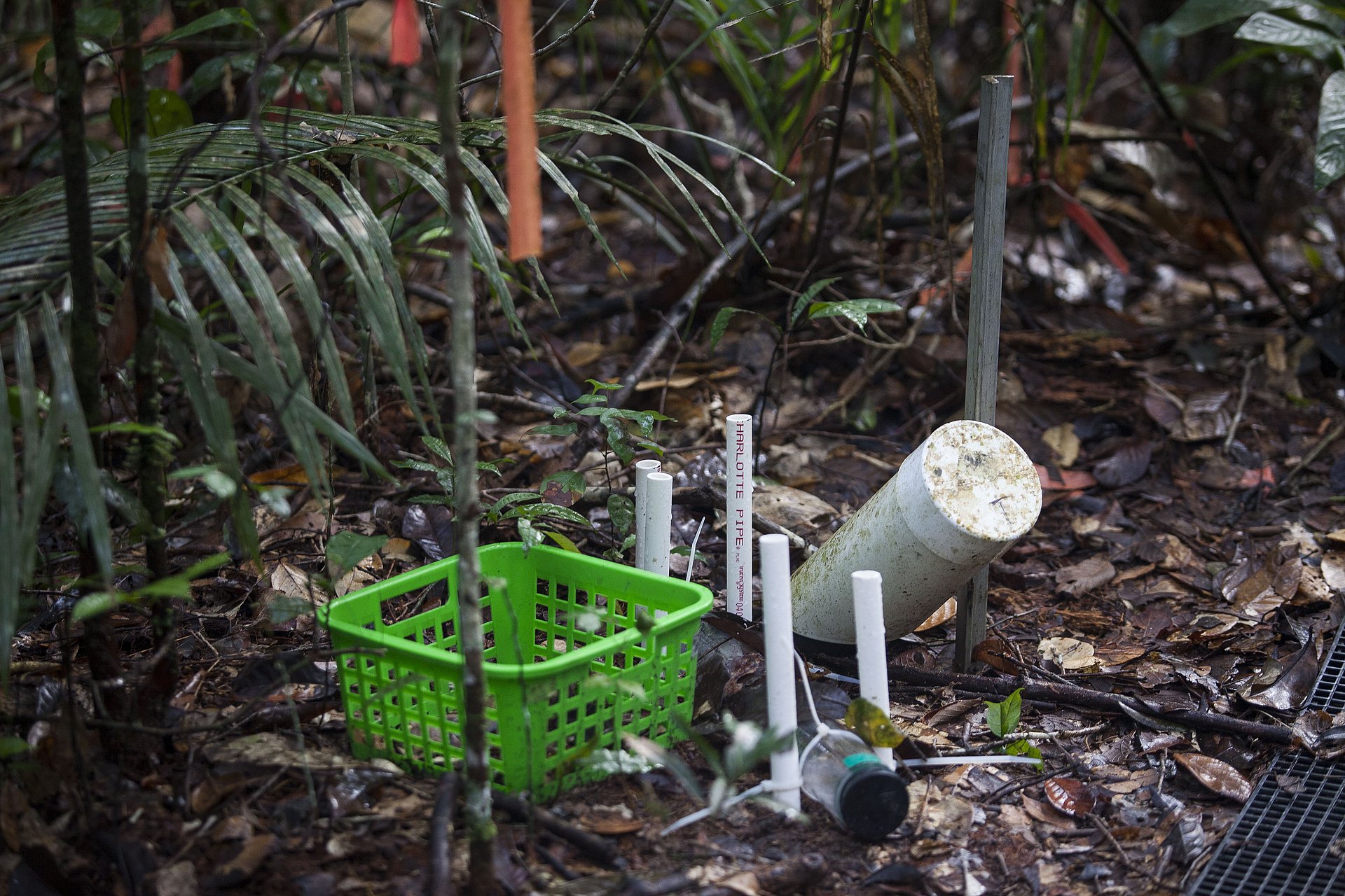 The so-called mini rhizotron system makes it possible to directly observe and measure root growth.