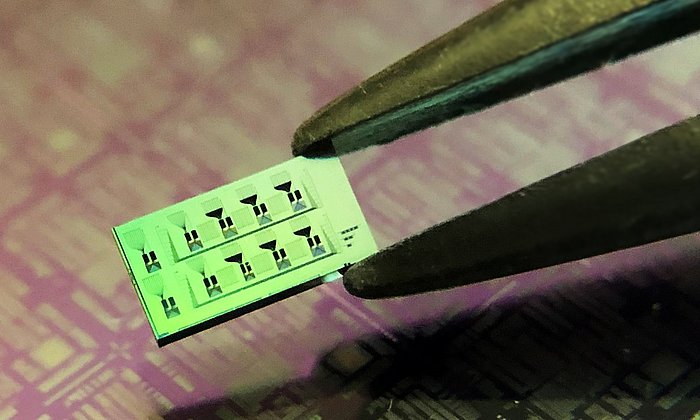 Silicon chip (approx. 3 mm x 6 mm) with multiple detectors. The fine black engravings on the surface of the chip are the photonics circuits interconnecting the detectors (not visible with bare eyes). In the background a larger scale photonics circuit on a silicon wafer.  