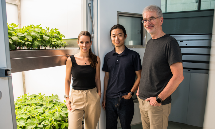 Three people are standing in front of a chamber in which soy plants are growing on two levels.