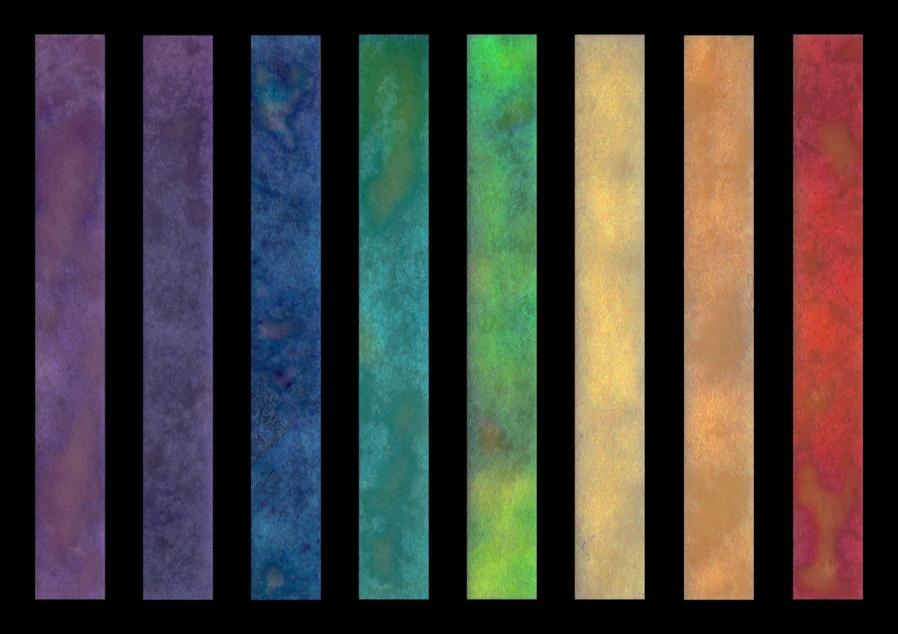 Various colored test strips that indicate whether an infection with uropathogenic bacteria is present.